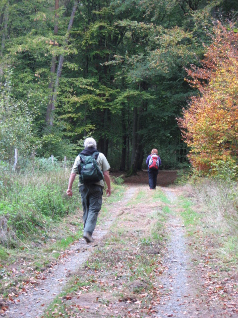 Konzept_Wirkung_Natur
