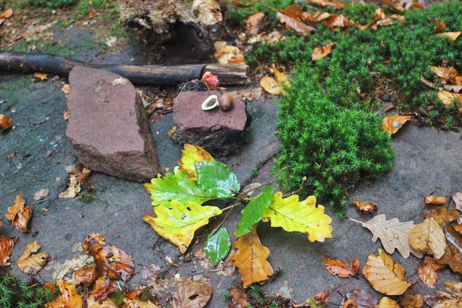 Naturcoaching-Weiterbildung Paar-Familien-Coaching27